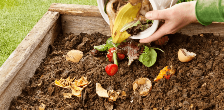 Organic Waste with Compost